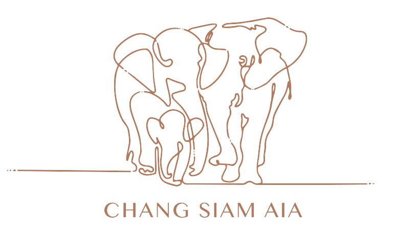 Chang Siam AIA